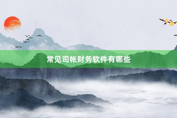 常见司帐财务软件有哪些