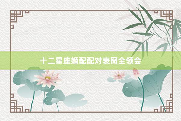 十二星座婚配配对表图全领会