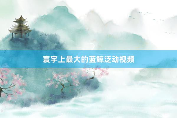 寰宇上最大的蓝鲸泛动视频