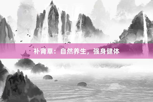 补肾草:自然养生,强身健体